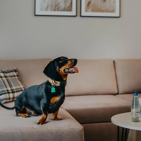 Aparthotel Adults 4*