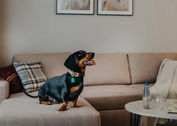 Ξενοδοχείο με διαμερίσματα Adults 4*