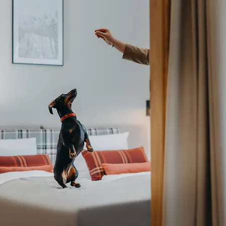 Adults Appart hôtel